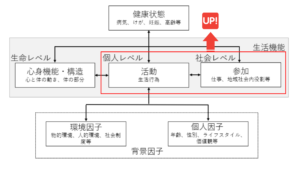 ICFモデルの図